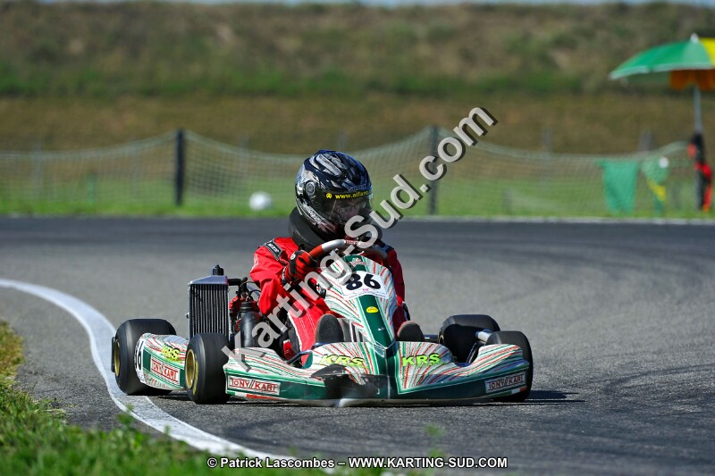 DSC_ (1585).jpg